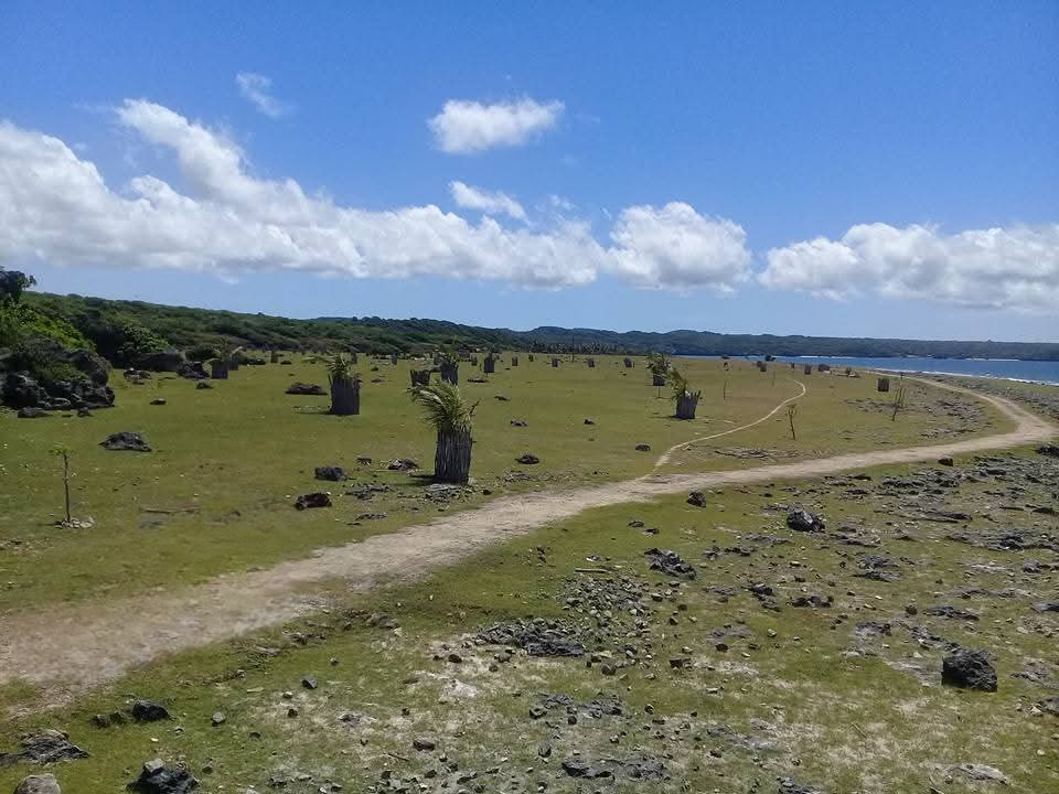 FLRote88  |  Indo Investments